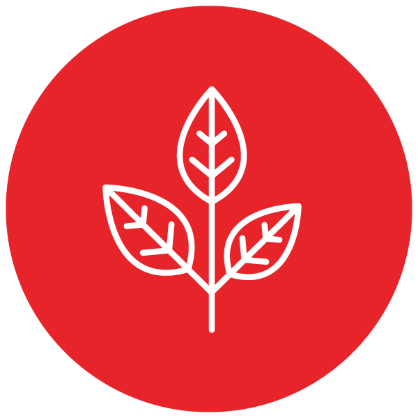 2024_6_Canvascon_Web_Images_ICONS-02.png